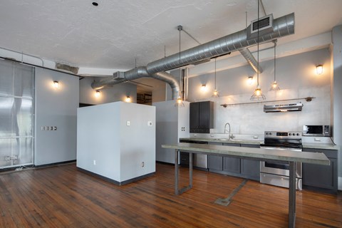 Kitchen with stainless steel appliances, updated lighting, hardwood at Jemison Flats, Birmingham, 35203